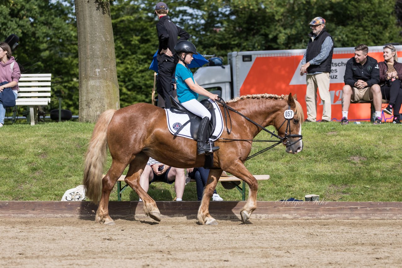 Bild 52 - Pony Akademie Turnier